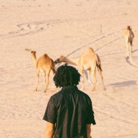 Omar (@notomarsol) 's Twitter Profile Photo Omar (@notomarsol) 's Twitter Profile Photo