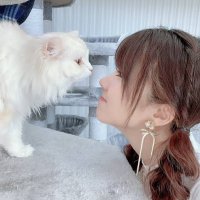 なべ (@wkyouhei1111) 's Twitter Profile