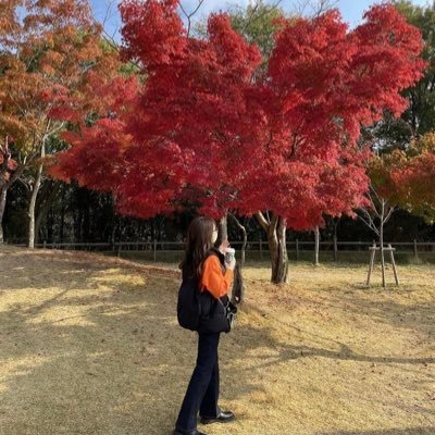 SShikibu45144's profile picture. ✿✿✿✿