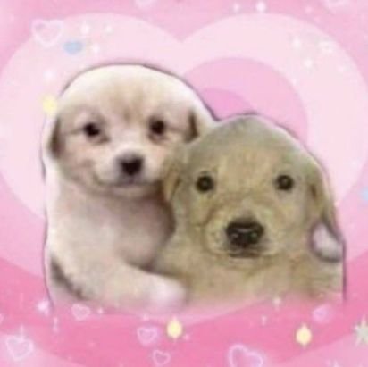 💭さんのプロフィール画像