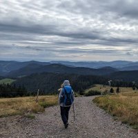 Z. (@zeynepinle) 's Twitter Profile Photo