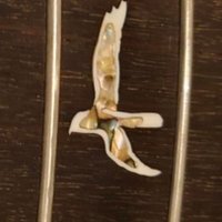 ゆーいち🎸 (@u1guitars) 's Twitter Profile Photo ゆーいち🎸 (@u1guitars) 's Twitter Profile Photo