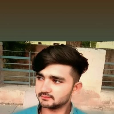 director of veer tejaji library ,nagour (8949167493)
