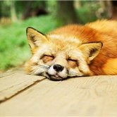 副業の成功法を発信中。副業初心者に役立つ情報を提供。わずかですが現金給付企画もしております☆ 詳細はコチラから▷https://t.co/ijZ1RISTBW