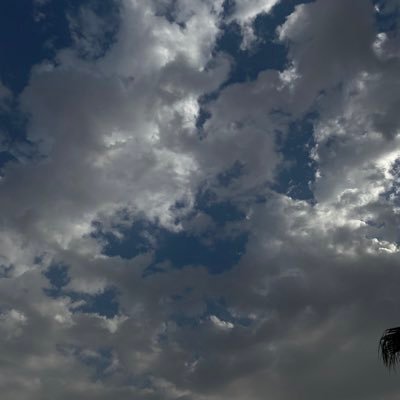 fjpeef's profile picture. 