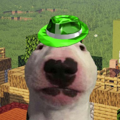 GWV123's profile picture. 17yo Autistic Stats YouTuber from Czechia / Wolfyland (my micronation)!
