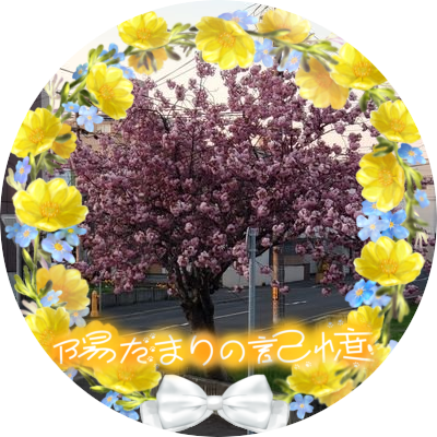 川の神饅頭🐈さんのプロフィール画像