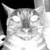 sofl old (@gdrchive) Twitter profile photo sofl old (@gdrchive) Twitter profile photo