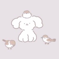 あや (@aya_fk17) Twitter profile photo