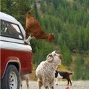 Dale Wall - @DaleWall246175 - Twitter