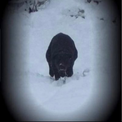 Samanth14176347's profile picture. God loving happily married my favorite people call me nanna sick of what’s happening to my country just want my family to have a good future Trump maga no dm