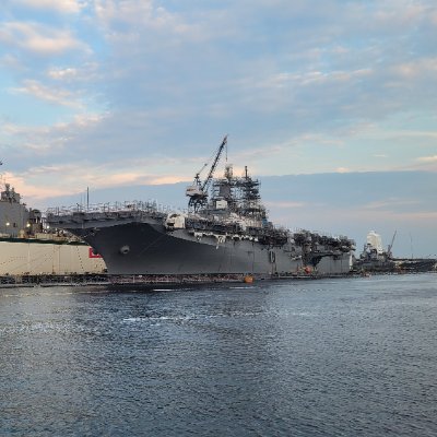 AndrzejBakLAF's profile picture. HarleyDavidson/Corgi/Freedom