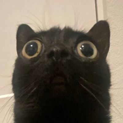 the account that I look at stuff I don't want on my main