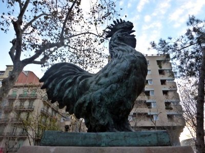 Piulant des dels frondosos boscos de plataners de l'#EsquerraEixample (ara des del cor de les #Guilleries #Gràcia)