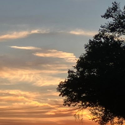 john20658499's profile picture. 