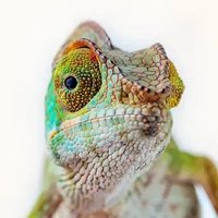 Leigh Jenkins 🏴 (@jenkinslei70103) 's Twitter Profile