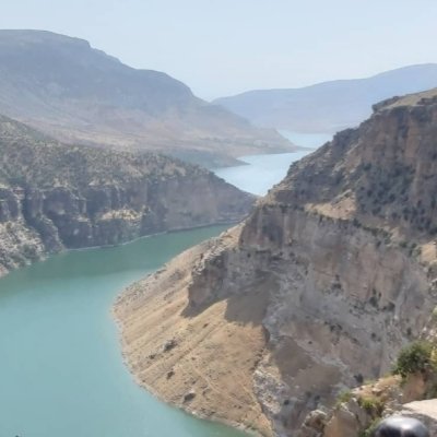 MustfaKAVAKLI's profile picture. 