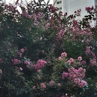 그저무수리 (@intobounprem) 's Twitter Profile