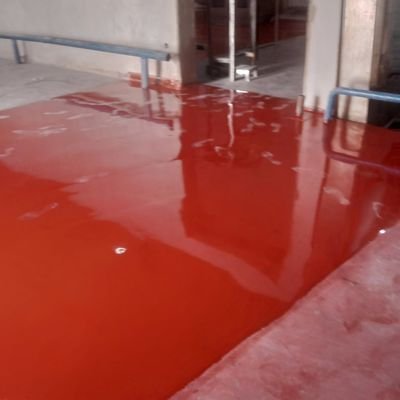 uchesonic1743's profile picture. BHC8APW7