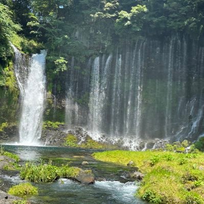 3人娘の父親で5人家族。北海道出身、神奈川県在住。毎日ゆったりのんびりと過ごしてます。ありのまま素直に書いていきます。