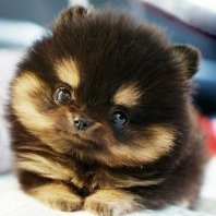 KellyKelly67901's profile picture. Doing the best I can with what I’ve got.