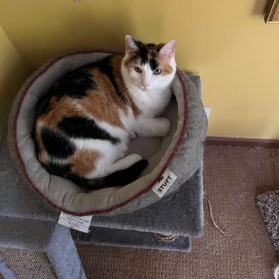 dondayafternoon's profile picture. follows/likes/retweets are NOT necessarily endorsements