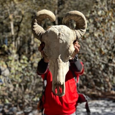 coffee_kuduka's profile picture. ನಾನ್ ಶುದ್ಧ ಕನ್ನಡಿಗ | I Speak lot about #Cricket🏏 and #Cinema 🎬