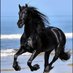Black horse (@ssanduijav1955) Twitter profile photo Black horse (@ssanduijav1955) Twitter profile photo
