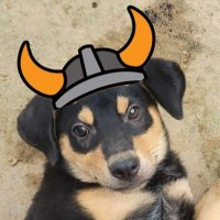 Rin75 ❤️ FLOKI GUYS (@cr_bbd) 's Twitter Profile
