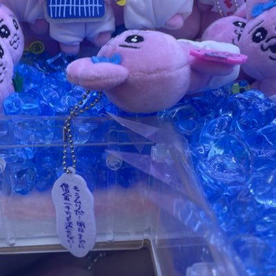 ひおり❄️ のアバター