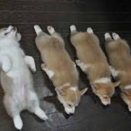 KimberlyBu73363's profile picture. Just here for the snacks.