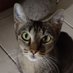 Martín (@martin867622) Twitter profile photo Martín (@martin867622) Twitter profile photo