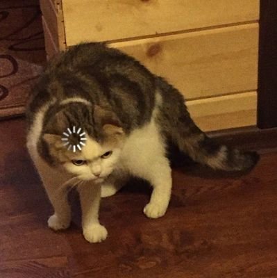 AriniAyie's profile picture. lullaby