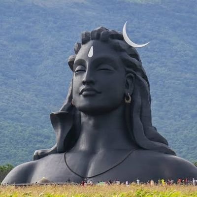 Devjat21's profile picture. 