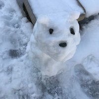 なめたけ (@tyo_hnd_bts) 's Twitter Profile