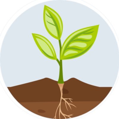 learn2grow_edu's profile picture. Future Teacher🍎