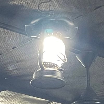 jjangmiy0njussi's profile picture. 