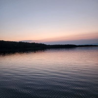 neealyse's profile picture. 