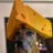 MacNicol7's profile image