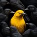 Mohamed Bachar (@mohamedbac52760) Twitter profile photo Mohamed Bachar (@mohamedbac52760) Twitter profile photo