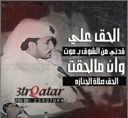 niceqate's profile picture. 