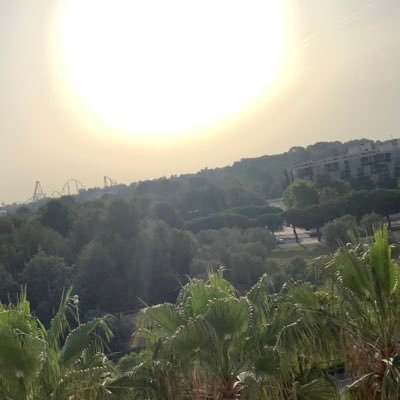 LouisTaylor1405's profile picture. 