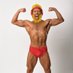 【胸毛ニキ】八須拳太郎 (@wrestler1106) Twitter profile photo 【胸毛ニキ】八須拳太郎 (@wrestler1106) Twitter profile photo