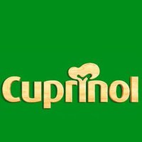 Cuprinol | Colour & Inspiration (@cuprinoluk) 's Twitter Profile