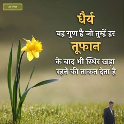 kaushikreeshu's profile picture. 1️⃣0️⃣0️⃣%follow back
💯%