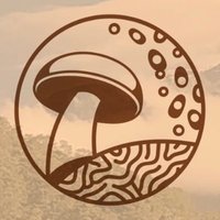 Congreso Colombiano de Micología (@llccmicologia) 's Twitter Profile