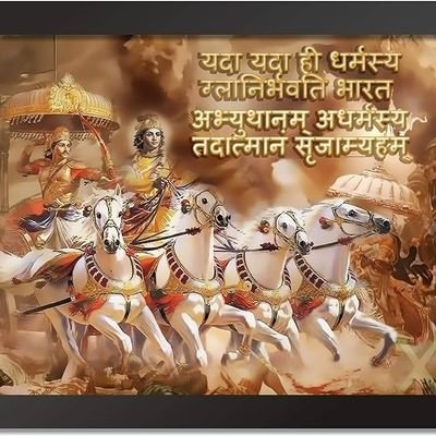 probot2004's profile picture. 