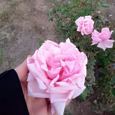 عامل .. كما تُعامل ...
وفارِق .. كما تُفارَق ...
واحترِم كما تُحترَم