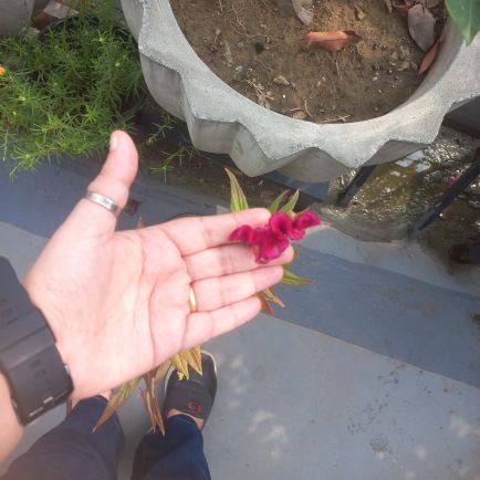 pmflorida26's profile picture. NatureLover| Karma | कृष्ण सदा सहायते ❤

“When you get up in the morning, you have two choices -either to be happy or to be unhappy. Just choose to be Happy🥰💫