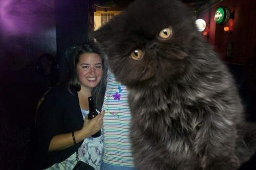 leahro's profile picture. good at words